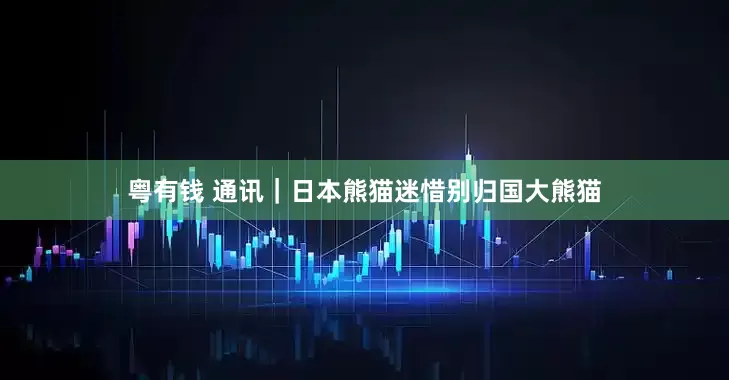 粤有钱 通讯｜日本熊猫迷惜别归国大熊猫