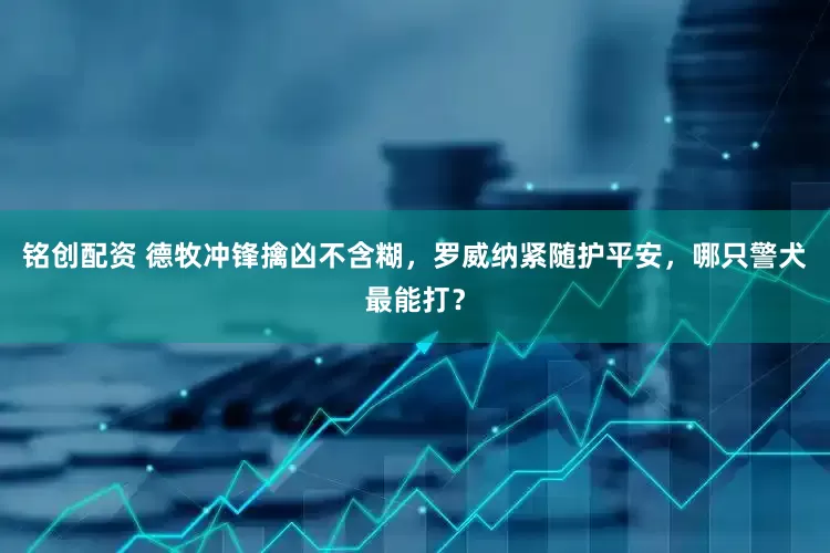铭创配资 德牧冲锋擒凶不含糊，罗威纳紧随护平安，哪只警犬最能打？