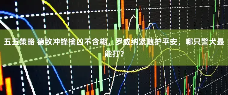五五策略 德牧冲锋擒凶不含糊，罗威纳紧随护平安，哪只警犬最能打？