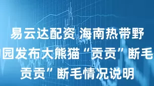 易云达配资 海南热带野生动植物园发布大熊猫“贡贡”断毛情况说明