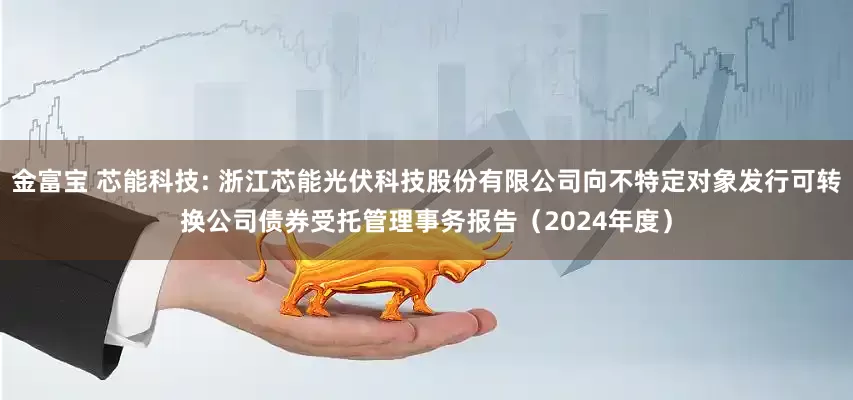 金富宝 芯能科技: 浙江芯能光伏科技股份有限公司向不特定对象发行可转换公司债券受托管理事务报告（2024年度）