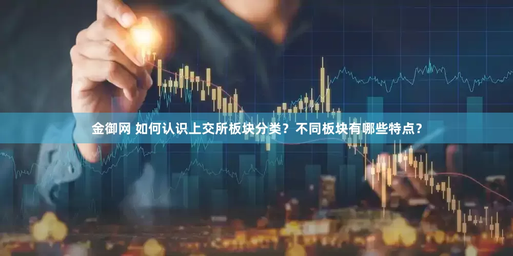 金御网 如何认识上交所板块分类？不同板块有哪些特点？