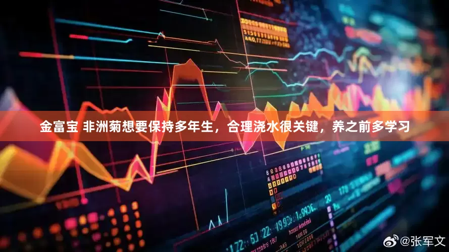 金富宝 非洲菊想要保持多年生，合理浇水很关键，养之前多学习