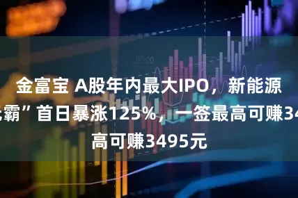 金富宝 A股年内最大IPO，新能源“巨无霸”首日暴涨125%，一签最高可赚3495元